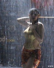 Madhu Sharma Hot And Spicy Pictures 37
