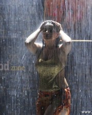 Madhu Sharma Hot And Spicy Pictures 39