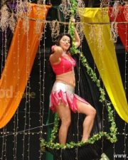 Madhu Sharma Hot Pictures 24