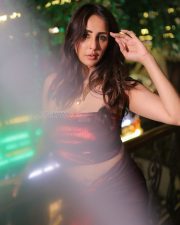 Magnetic Actress Chahatt Khanna in a Dark Burgundy Strapless Metallic Top Photos 03