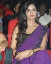 Meenakshi Dixit Sexy In Saree Pictures 07