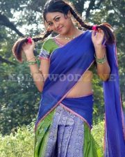 Meenakshi Sexy Stills 43