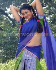 Meenakshi Sexy Stills 44