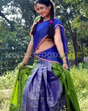 Meenakshi Sexy Stills 46
