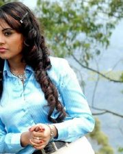 Meenakshi Sexy Stills 73