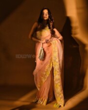Model Anushka Sen in a Dusty Rose Zari Sequence Work Saree Photos 03