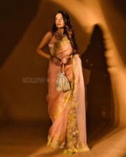 Model Anushka Sen in a Dusty Rose Zari Sequence Work Saree Photos 05