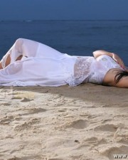 Nadigayin Diary Heroine Sana Khan Hot Spicy Pictures 10