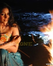 Padma Priya In Gokulam Movie Photos 26
