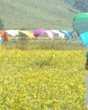 Padma Priya In Gokulam Movie Photos 27