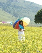 Padma Priya In Gokulam Movie Photos 28