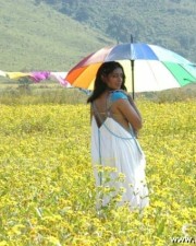 Padma Priya In Gokulam Movie Photos 29