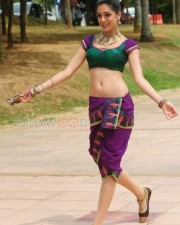Parvathi Melton Sexy Navel Pictures 01 Parvathi Melton Sexy Navel Pictures 01