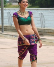 Parvathi Melton Sexy Navel Pictures 05 Parvathi Melton Sexy Navel Pictures 05