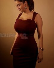 Provocative Actress Anveshi Jain in a Maroon Halter Maxi Dress Photos 02