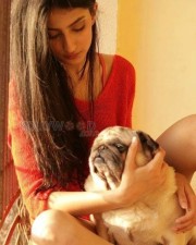 Quickie Actress Palak Tiwari Photos 11