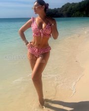 Radiant Actress Akansha Puri in a Pink ruffled bikini Photos 01