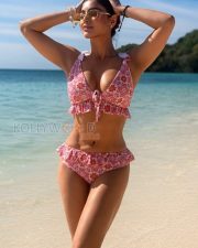 Radiant Actress Akansha Puri in a Pink ruffled bikini Photos 03