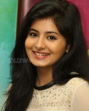 Reshmi Menon At Burma Audio Launch Stills 01