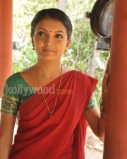 Saranya Mohan In Traditional Saree Pictures 11