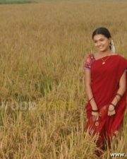 Saranya Mohan Pics 04