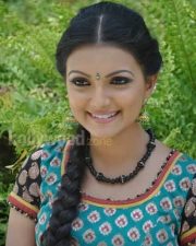 Saranya Mohan Tradiotional Photos 01