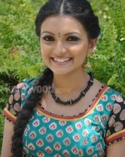 Saranya Mohan Tradiotional Photos 04