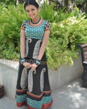 Saranya Mohan Tradiotional Photos 07