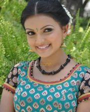 Saranya Mohan Tradiotional Photos 10