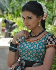 Saranya Mohan Tradiotional Photos 13