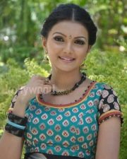 Saranya Mohan Tradiotional Photos 14