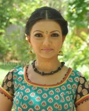 Saranya Mohan Tradiotional Photos 15