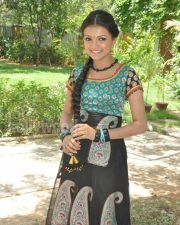 Saranya Mohan Tradiotional Photos 17