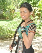 Saranya Mohan Tradiotional Photos 18