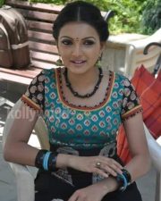 Saranya Mohan Tradiotional Photos 19