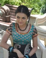 Saranya Mohan Tradiotional Photos 21