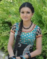 Saranya Mohan Tradiotional Photos 22