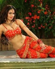 Sexy Actress Meenakshi Dixit Pictures 07