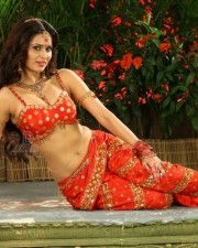 Sexy Actress Meenakshi Dixit Pictures 07