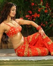 Sexy Actress Meenakshi Dixit Pictures 09