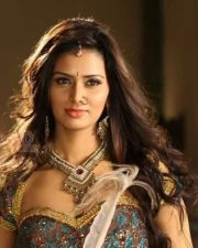 Sexy Actress Meenakshi Dixit Pictures 11