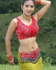 Sexy Aditi Sharma Pictures 10