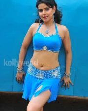 Sexy Madhu Sharma Hot Stills 13
