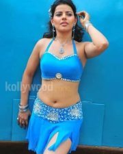Sexy Madhu Sharma Hot Stills 18