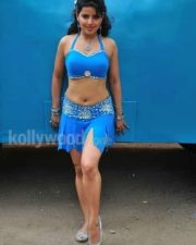 Sexy Madhu Sharma Hot Stills 28