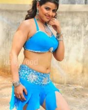 Sexy Madhu Sharma Hot Stills 46
