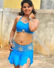 Sexy Madhu Sharma Hot Stills 47