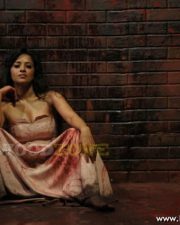 Sexy New Reema Sen Pictures 57