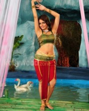 Sexy Sheena Shahabadi Photos 04