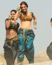 Sexy Sheena Shahabadi Photos 40